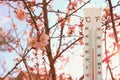 thermometer at field of flowers indicating weather change