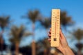 Thermometer in hand in front of palm trees and sky background. Weather forecast concept Royalty Free Stock Photo