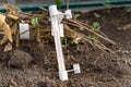 Thermometer measures temperature for planting seedling of plants in garden humus Royalty Free Stock Photo