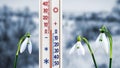 The thermometer near the snowdrops on the background of the trees shows 5 degrees above zero_