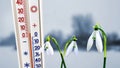 Thermometer near snowdrops on a blurry background of snow-covered shore shows 5 degrees above zero_