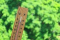 Thermometer showing high temperature at 44 degree celsius against green foliage in the sunlight Royalty Free Stock Photo