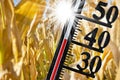 thermometer shows high temperature in summer heat