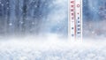 Thermometer in the snow on a background of trees during a snowfall shows 15 degrees below zero Royalty Free Stock Photo