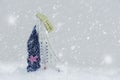 Thermometer on snow in winter