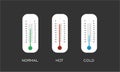 Thermometer vektor cold hot and showing normal weather