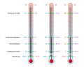 Thermometers Set Fahrenheit Celsius Kelvin Temperature Division