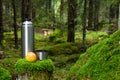 Thermos and apple in deep forest