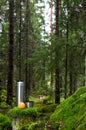 Thermos and apple in mossy forest Royalty Free Stock Photo