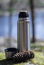 Thermos, cup and pinecone- picnic on mossy rock