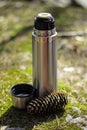 Thermos, cup and pinecone- picnic on mossy rock
