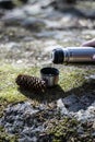 Thermos, cup and pinecone- picnic on mossy rock