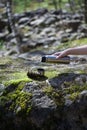 Thermos, cup and pinecone- picnic on mossy rock