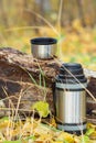 Thermos Vacuum flask in the autumn forest on a wooden snag. The concept of a trip to the autumn season