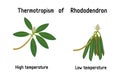 Thermotropism or thermotropic movement is the movement of an organism or a part of an organism in response to heat or changes from