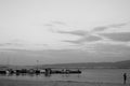Thessaloniki Greece - August 28 2016: View of the marina of Peraia suburb in black and white. Royalty Free Stock Photo