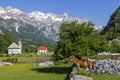 View over the Theth village, Albania Royalty Free Stock Photo