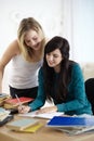 Theyll achieve exam success together. Two young female students studying together at home.