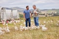 Theyve been running this successful farm for years. two men working together on a poultry farm.