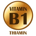 Thiamin, Vitamin B1, Circular pictogram Royalty Free Stock Photo