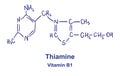 Thiamine chemical structure. Vector illustration Hand drawn. Royalty Free Stock Photo