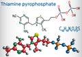 Thiamine pyrophosphate TPP, thiamine diphosphate, is a cofacto