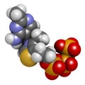 Thiamine triphosphate molecule. 3D rendering. Atoms are represented as spheres with conventional color coding: hydrogen (white),