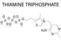 Thiamine triphosphate molecule. Skeletal formula. Chemical structure