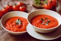 Thick appetizing bright red gazpacho on table with fresh tomatoes