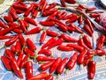 Thick Big Fresh red chilly vegetable. Hot red cayenne pepper or Jalepeno chili used to make Indian Pickle. Lal Achari Mirch Royalty Free Stock Photo