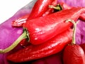 Thick Big Fresh red chilly vegetable. Hot red cayenne pepper or Jalepeno chili used to make Indian Pickle. Lal Achari Mirch Royalty Free Stock Photo