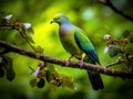 Thick billed Green Pigeon (Treron curvirostra) Made With Generative AI illustration