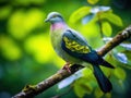 Thick billed Green Pigeon (Treron curvirostra) Made With Generative AI illustration