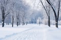 thick blanket of snow covering a winding park pathway