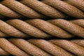 Thick brown rope rolled into a roll. Horizontal layout.