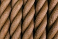 Thick brown rope rolled into a roll. Vertical layout