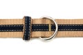 A thick canvas material fabric belt with dark blue inner strap buckle and loop white backdrop Royalty Free Stock Photo