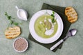 Thick cream soup of green vegetables Royalty Free Stock Photo