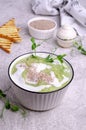 Thick cream soup of green vegetables Royalty Free Stock Photo