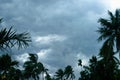 Thick dark black heavy storm clouds covered summer sunset sky horizon. Gale speed wind blowing over blurry coconut palm tree Royalty Free Stock Photo