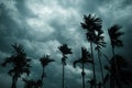 Thick dark black heavy storm clouds covered summer sunset sky horizon. Gale speed wind blowing over blurry coconut palm tree Royalty Free Stock Photo