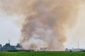 Thick dark smoke from a fire at wilderness Royalty Free Stock Photo