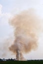 Thick dark smoke from a fire at wilderness Royalty Free Stock Photo