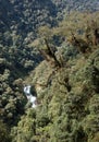 Dense Verdant Kanchenjunga National Park