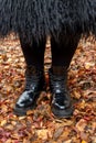 Thick female legs in comfortable black boots on autumn leaves. Stability, strength, confidence concept Royalty Free Stock Photo