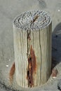 Thick fence post. Royalty Free Stock Photo