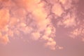 Thick fluffy pink sunset clouds background Royalty Free Stock Photo
