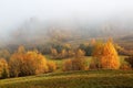 Thick fog covered the valley, forest. Majestic autumn landscape. Birch with orange leaves and golden grass. Location Carpathian. Royalty Free Stock Photo