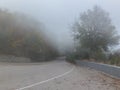 Thick fog covers old road Pass Baidar Gates in Crimean Mountains connecting Baydar Valley
