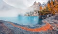 Thick fog gloving mountain peaks and lake. Calm autumn view of unique Oeschinensee Lake. Misty morning scene of Swiss Alps with Bl